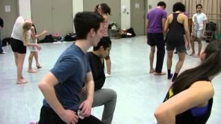 danielle agami story   new batsheva clips