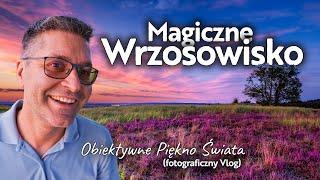 Fotografia Polskiego Krajobrazu - Magiczny zachód słońca na Wrzosowiskach Cedyńskich