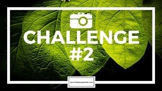 Photo Challenge #2