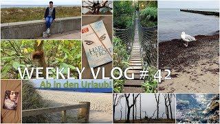 WEEKLY VLOG  #42 |Tiere, Bücher und das Meer // Ab in den Urlaub!