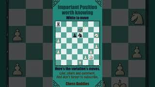 CHESS: Most Important Position Worth Knowing - Illustration no. 15 #chessdaily #chesspositional