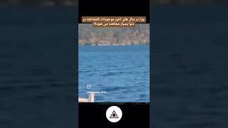 موجودات ناشناخته که به تازگی دیده شده اند