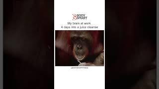 My brain at work 4 days into a juice cleanse | David Attenborough