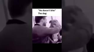 He don’t bite #shorts