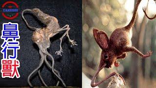 [TOP2]數個駭人生物謠言的真相 | 福音戰士中的亞當真實存在 | 用鼻子行走的最駭人生物