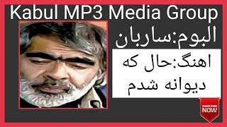 استاد ساربان:حال که دیوانه شدم میروی