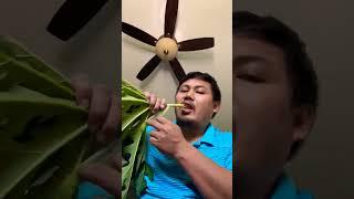 Eating papaya leaves. #asmr #shorts