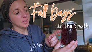 A FALL Day in My SOUTHERN KITCHEN | Elderberry Syrup