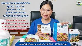 #ปุ๋ยเกร็ดโกรแม็กซ์กิฟฟารีนสูตรเปิดตาดอกบำรุงดอก สูตร 3-53-17 / 10-52-17