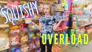 JUMBO SLOW RISE SQUISHIES AT LEARNING EXPRESS | Bryleigh Anne