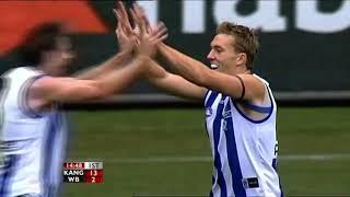 Drew Petrie Kicks 6 Goals in a Quarter (AFL 2007)