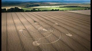 Massive Crop Circle | Westbury White Horse, Wiltshire | 30 July 2023 | Crop Circles From The Air