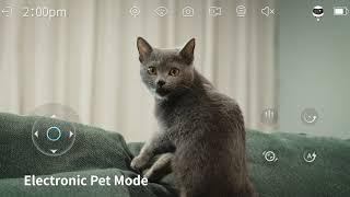 A Smart Companion Robot For Your Pet --- Enabot EBO Air Promotional Video