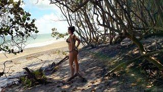 Beach Jungle Path, Walk Through a Seagrape Forest Along The Ocean