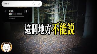 【詭森林】原住民獵人上山遇到的鬼故事 | 老王說