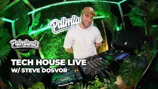 Steve Dosvor - Tech House Live on PALMLANDS 26.02.2025