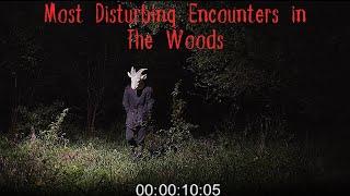 Most Disturbing Encounters in the Woods | Nightmare Narratives