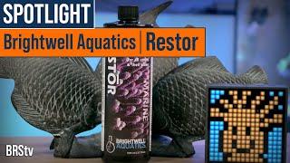 Coral Nutrition for Healing & Coloration! - Brightwell Aquatics Restōr