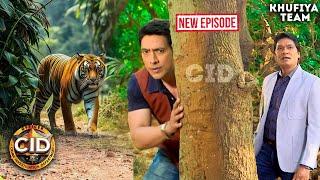 अब असली Tiger के चक्कर में फंसी CID! | CID | Full Episode |