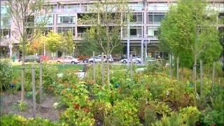 Portland Condos Johns Landing with Carolyn Rossi and Becky Scharf of http://portlandscondos.com