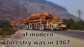 Change Of Pace - Modern Forestry in BC, a film from 1967