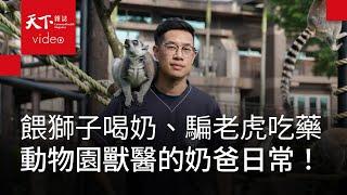 【天下44週年特別報導】包辦犀牛老虎生老病死，動物園獸醫師吳炫毅：照護動物要用100%的心力｜新職人精神・幫台灣升級的人