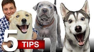 5 More Top Dog Training Tips