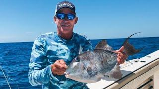 Catch, Clean, Cook Triggerfish with Don Dingman!