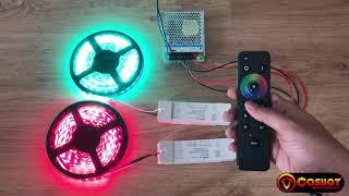 Casiiot 4 Zone RF MESH RGBWW Lights, Multiple Zone Demo