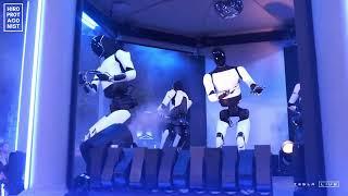 Robot Dance (Tesla Optimus Robot @ Elon Musk's "We Robot" event, Los Angeles, 10 Oct 2024)