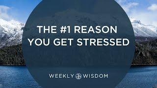 The #1 Reason You Get Stressed | 3-Minute Tip