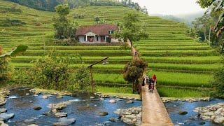 Suasana Pagi Hari di Desa, Adem Ayem Tentrem Bikin Rindu Kampung Halaman