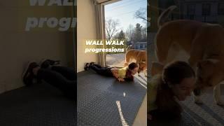 FOUNDATIONS FRIDAY: wall walk progressions‍️