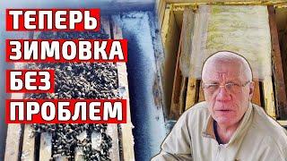 Зимовка пчел на пасеке Когда класть утепление