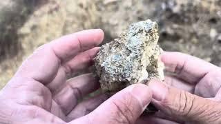 Metal detecting Eastfork San Gabriel River, California, looking for gold