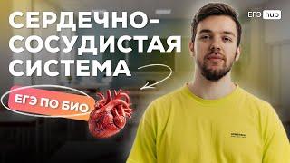 СТРОЕНИЕ СЕРДЦА | СЛОЖНЫЕ СЛУЧАИ ИЗ ЕГЭ | ТАМЕРЛАН ХАРДИ