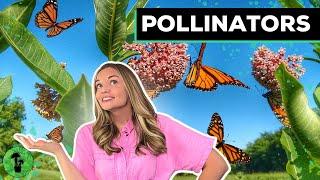 Pollinators | Plant & Pollinator Adaptation