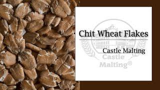 Château Chit Wheat Malt Flakes | Malt Review | Castle Malting TV