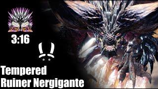 [MHW:I] Tempered Ruiner Nergigante 3'16 Dual Blades Freestyle - Ode to Destruction