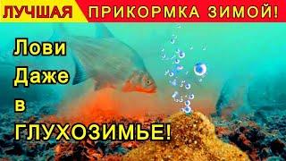 С этой прикормкой Ловлю рыбу даже в глухозимье! Прикормка своими руками!  Кислородная прикормка!