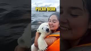 Cute Creatures That Could End You in Seconds ️️