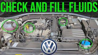 How to Check and Fill Fluids [COMPLETE GUIDE] - Volkswagen Jetta (2019-2023)