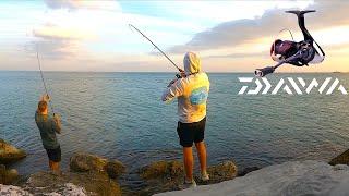 I Lost my FISH OF THE YEAR?! Inshore Multispecies fishing for Italian Predators - New Daiwa Fuego LT