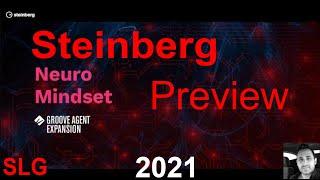 Steinberg | Groove Agent Expansion | Neuro Mindset