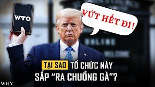 Tại Sao Các Cường Quốc Lại Quay Lưng Với Tổ Chức Thương Mại Toàn Cầu?