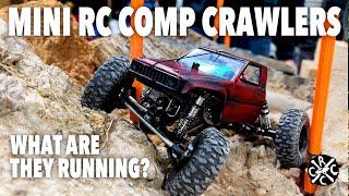 Mini RC Comp Crawling In 2024: What Are People Running?