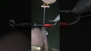 Try THIS Unconventional Fly!