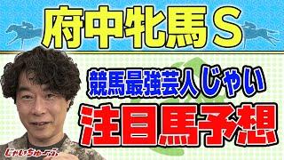 【競馬】府中牝馬ステークスでのじゃいの予想【勝ち馬予想】