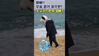 아빠와 스키장에 갔던 댕댕이들의 최후