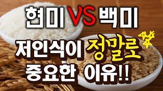 백미 vs 현미식단의 정확한 정보, 혈관보호, 골다공증 방지 식단, 잡곡밥의 문제